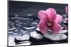 Still Life with Pebble and Macro of Orchid with Water Drops-crystalfoto-Mounted Photographic Print