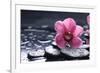 Still Life with Pebble and Macro of Orchid with Water Drops-crystalfoto-Framed Photographic Print