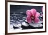 Still Life with Pebble and Macro of Orchid with Water Drops-crystalfoto-Framed Photographic Print