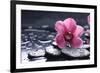 Still Life with Pebble and Macro of Orchid with Water Drops-crystalfoto-Framed Photographic Print