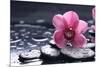 Still Life with Pebble and Macro of Orchid with Water Drops-crystalfoto-Mounted Photographic Print