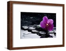 Still Life with Pebble and Orchid with Water Drops-crystalfoto-Framed Photographic Print