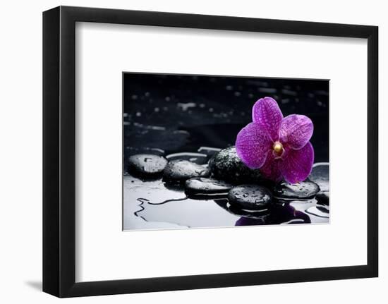 Still Life with Pebble and Orchid with Water Drops-crystalfoto-Framed Photographic Print