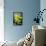 Still Life with Pebble and Orchid-crystalfoto-Framed Stretched Canvas displayed on a wall