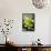 Still Life with Pebble and Orchid-crystalfoto-Framed Stretched Canvas displayed on a wall