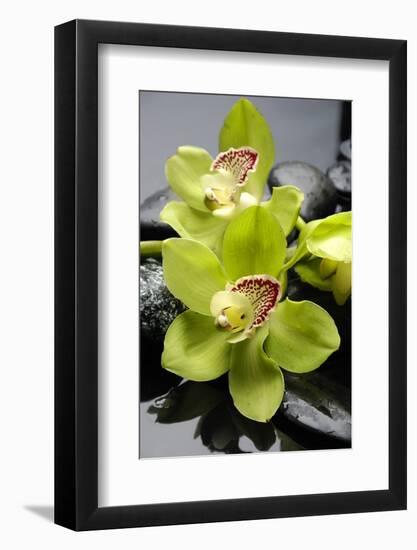 Still Life with Pebble and Orchid-crystalfoto-Framed Photographic Print