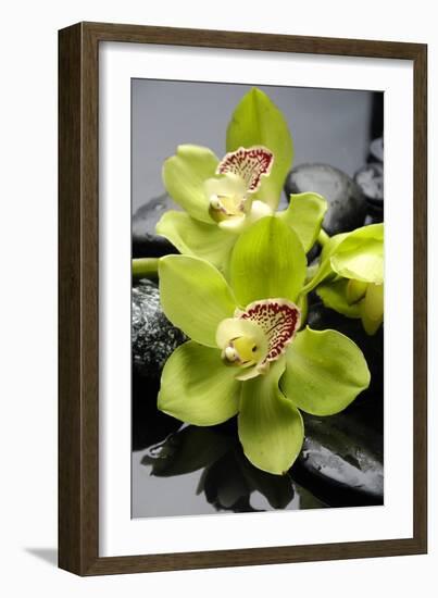 Still Life with Pebble and Orchid-crystalfoto-Framed Photographic Print