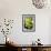 Still Life with Pebble and Orchid-crystalfoto-Framed Photographic Print displayed on a wall