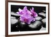 Still Life with Pebble and Orchid-crystalfoto-Framed Photographic Print