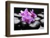 Still Life with Pebble and Orchid-crystalfoto-Framed Photographic Print