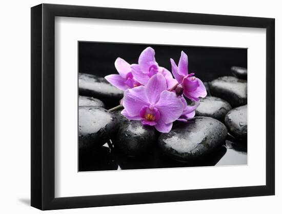 Still Life with Pebble and Orchid-crystalfoto-Framed Photographic Print