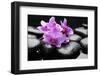 Still Life with Pebble and Orchid-crystalfoto-Framed Photographic Print