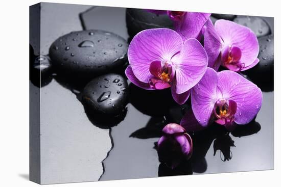 Still Life with Pebbles and Branch Orchid-crystalfoto-Stretched Canvas
