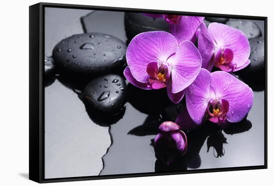 Still Life with Pebbles and Branch Orchid-crystalfoto-Framed Stretched Canvas