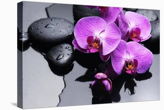 Still Life with Pebbles and Branch Orchid-crystalfoto-Stretched Canvas
