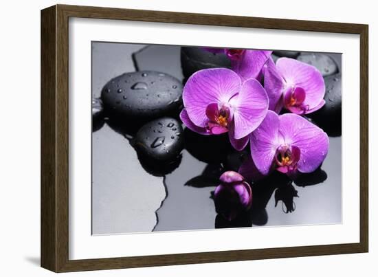 Still Life with Pebbles and Branch Orchid-crystalfoto-Framed Photographic Print