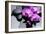 Still Life with Pebbles and Branch Orchid-crystalfoto-Framed Photographic Print