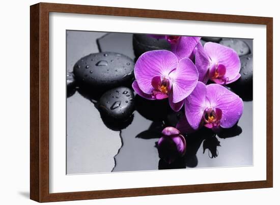 Still Life with Pebbles and Branch Orchid-crystalfoto-Framed Photographic Print