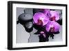 Still Life with Pebbles and Branch Orchid-crystalfoto-Framed Photographic Print