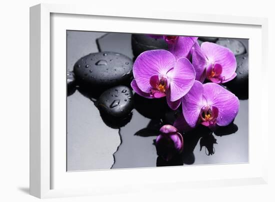 Still Life with Pebbles and Branch Orchid-crystalfoto-Framed Photographic Print