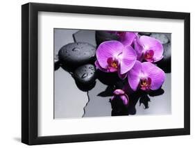 Still Life with Pebbles and Branch Orchid-crystalfoto-Framed Photographic Print