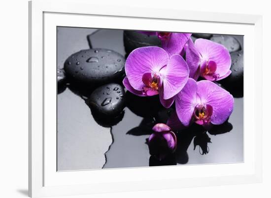 Still Life with Pebbles and Branch Orchid-crystalfoto-Framed Photographic Print