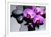 Still Life with Pebbles and Branch Orchid-crystalfoto-Framed Photographic Print