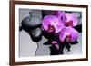 Still Life with Pebbles and Branch Orchid-crystalfoto-Framed Photographic Print