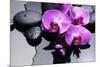 Still Life with Pebbles and Branch Orchid-crystalfoto-Mounted Photographic Print
