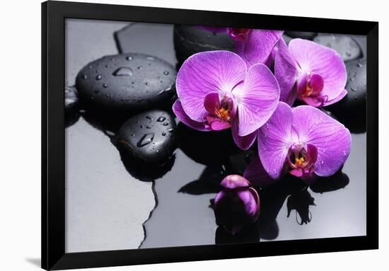 Still Life with Pebbles and Branch Orchid-crystalfoto-Framed Photographic Print