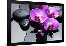 Still Life with Pebbles and Branch Orchid-crystalfoto-Framed Photographic Print