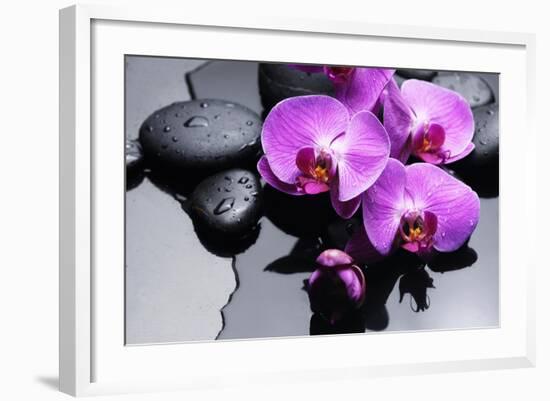 Still Life with Pebbles and Branch Orchid-crystalfoto-Framed Photographic Print