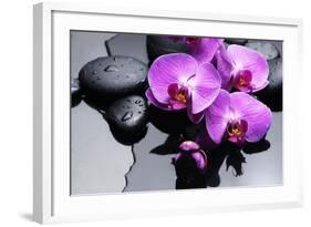 Still Life with Pebbles and Branch Orchid-crystalfoto-Framed Photographic Print