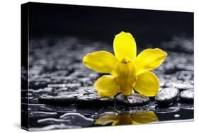 Still Life with Pebbles and Yellow Orchid-crystalfoto-Stretched Canvas