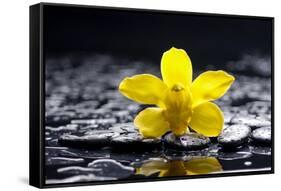 Still Life with Pebbles and Yellow Orchid-crystalfoto-Framed Stretched Canvas