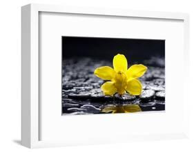 Still Life with Pebbles and Yellow Orchid-crystalfoto-Framed Photographic Print