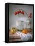 Still life with Physalis and Pumpkin-Mandy Disher-Framed Stretched Canvas