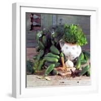 Still Life with Pickled Gherkins & Pickling Ingredients-null-Framed Photographic Print