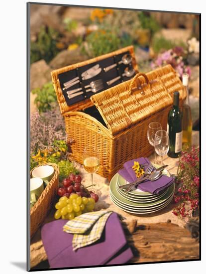 Still Life with Picnic Basket, Crockery, Glasses and Wine-Alena Hrbkova-Mounted Photographic Print