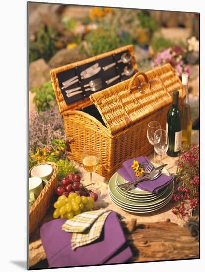 Still Life with Picnic Basket, Crockery, Glasses and Wine-Alena Hrbkova-Mounted Photographic Print