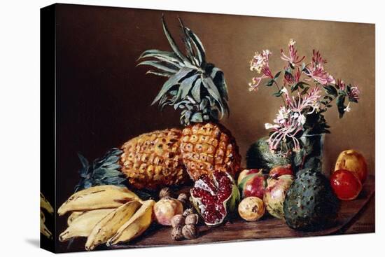 Still Life with Pineapples, 1908-Conrad Wise Chapman-Stretched Canvas