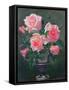 Still Life with Pink Roses in Vases-Albert Williams-Framed Stretched Canvas
