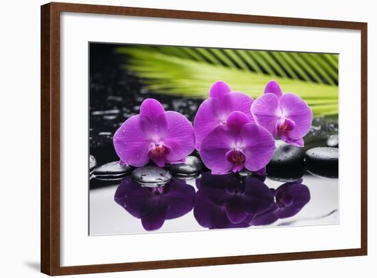 Still Life with Plam ,Pebbles and Red Orchid-crystalfoto-Framed Photographic Print