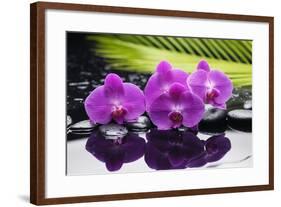 Still Life with Plam ,Pebbles and Red Orchid-crystalfoto-Framed Photographic Print