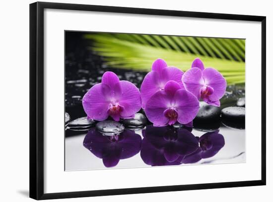 Still Life with Plam ,Pebbles and Red Orchid-crystalfoto-Framed Photographic Print