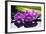 Still Life with Plam ,Pebbles and Red Orchid-crystalfoto-Framed Photographic Print