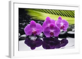 Still Life with Plam ,Pebbles and Red Orchid-crystalfoto-Framed Photographic Print