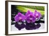 Still Life with Plam ,Pebbles and Red Orchid-crystalfoto-Framed Photographic Print