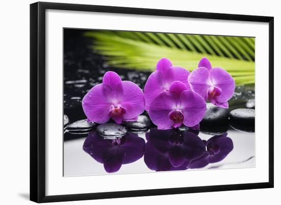 Still Life with Plam ,Pebbles and Red Orchid-crystalfoto-Framed Photographic Print