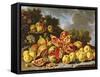 Still Life with Pomegranates, Apples, Cherries and Grapes-Melendez-Framed Stretched Canvas